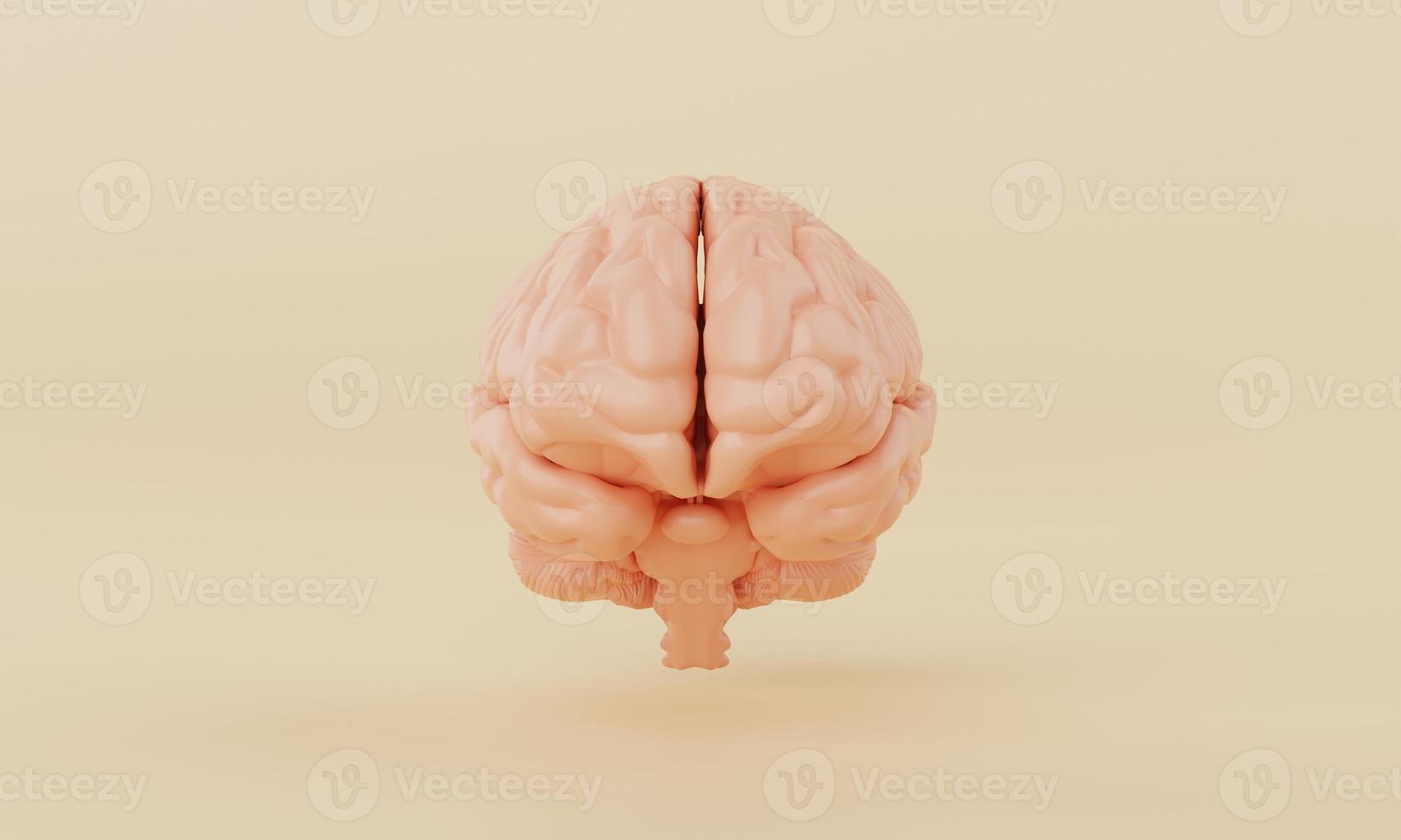 Orange simple mind brain model on yellow background. Medical science healthcare and abstract object concept. 3D illustration rendering photo