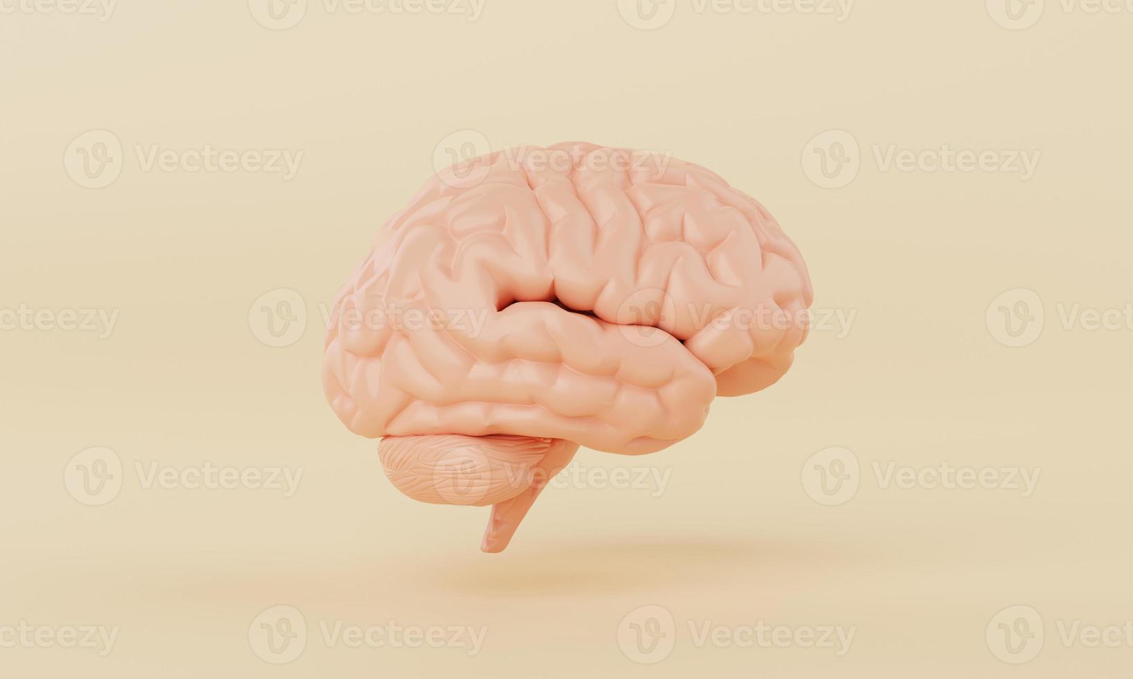 Orange simple mind brain model on yellow background. Medical science healthcare and abstract object concept. 3D illustration rendering photo