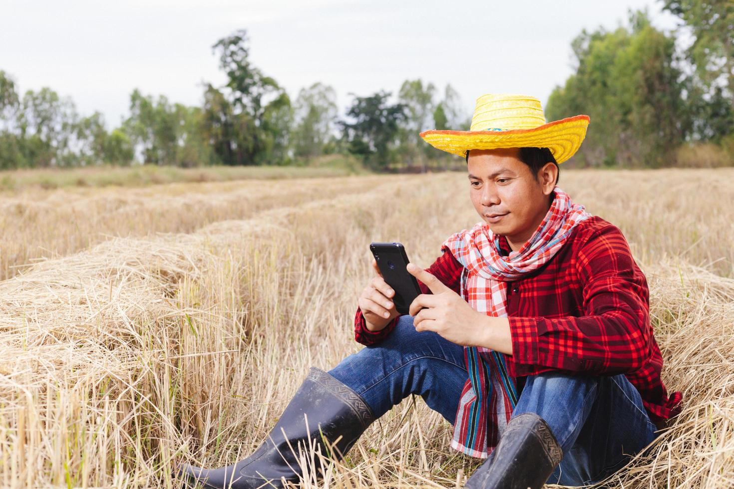 Asian farmer with rice stubble in the field photo