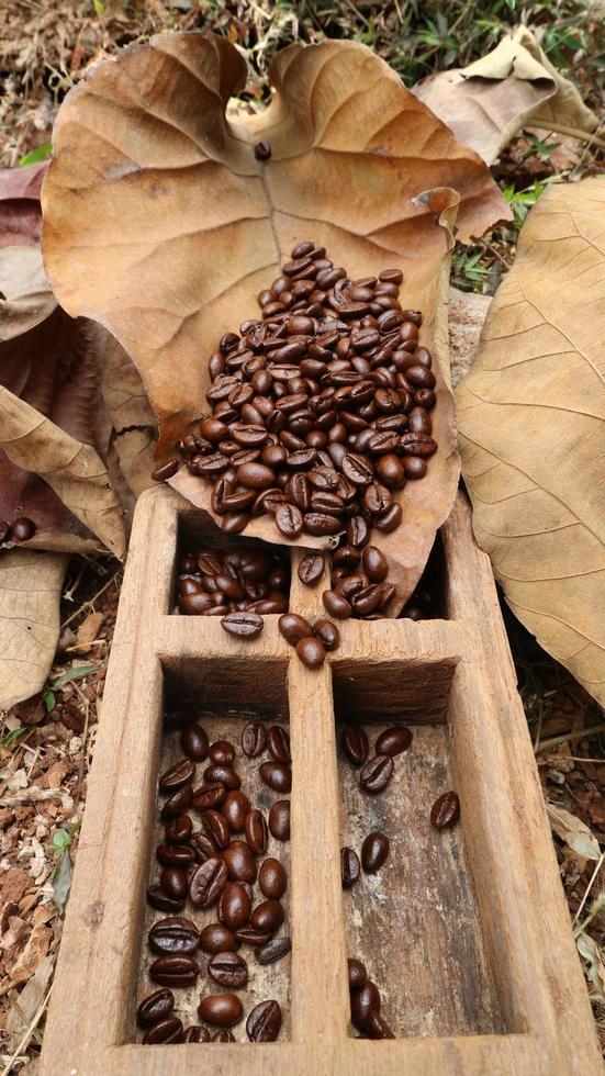 granos de café en hojas de teca secas y cajas de madera de teca foto