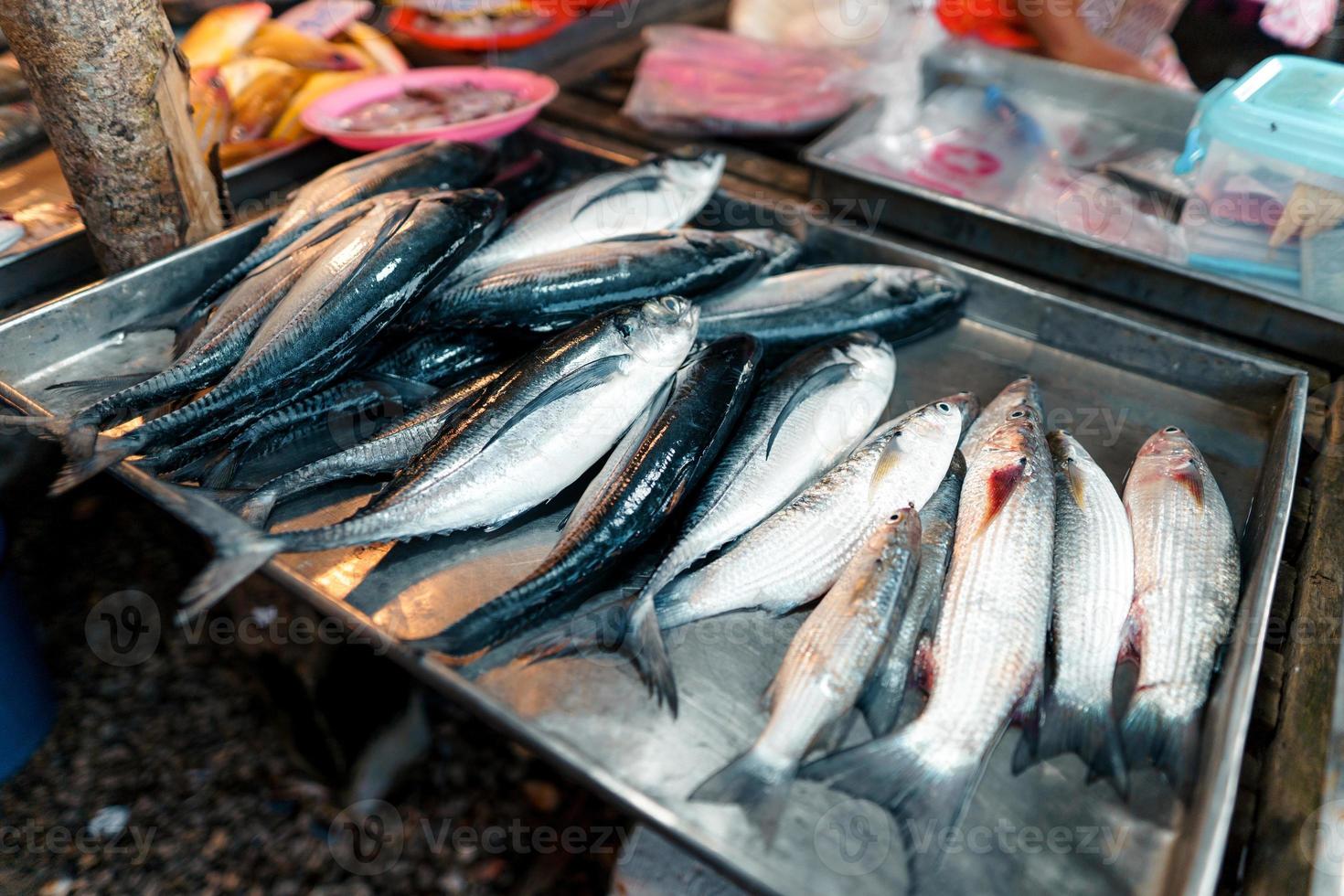 Fish market in Krabi,Raw seafood in a market near the tropical sea photo