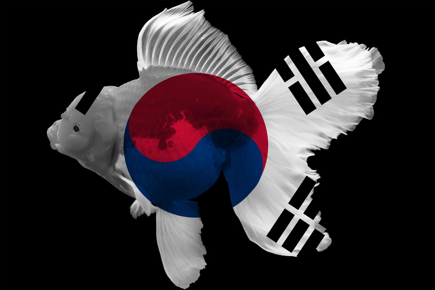 Flag of South Korea on goldfish photo