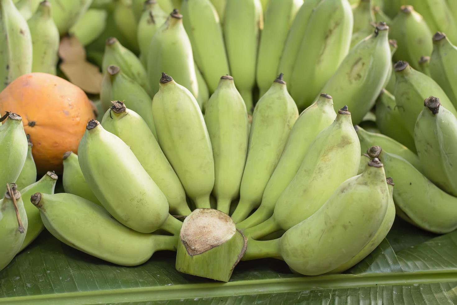 Banana shell casing for Sale photo