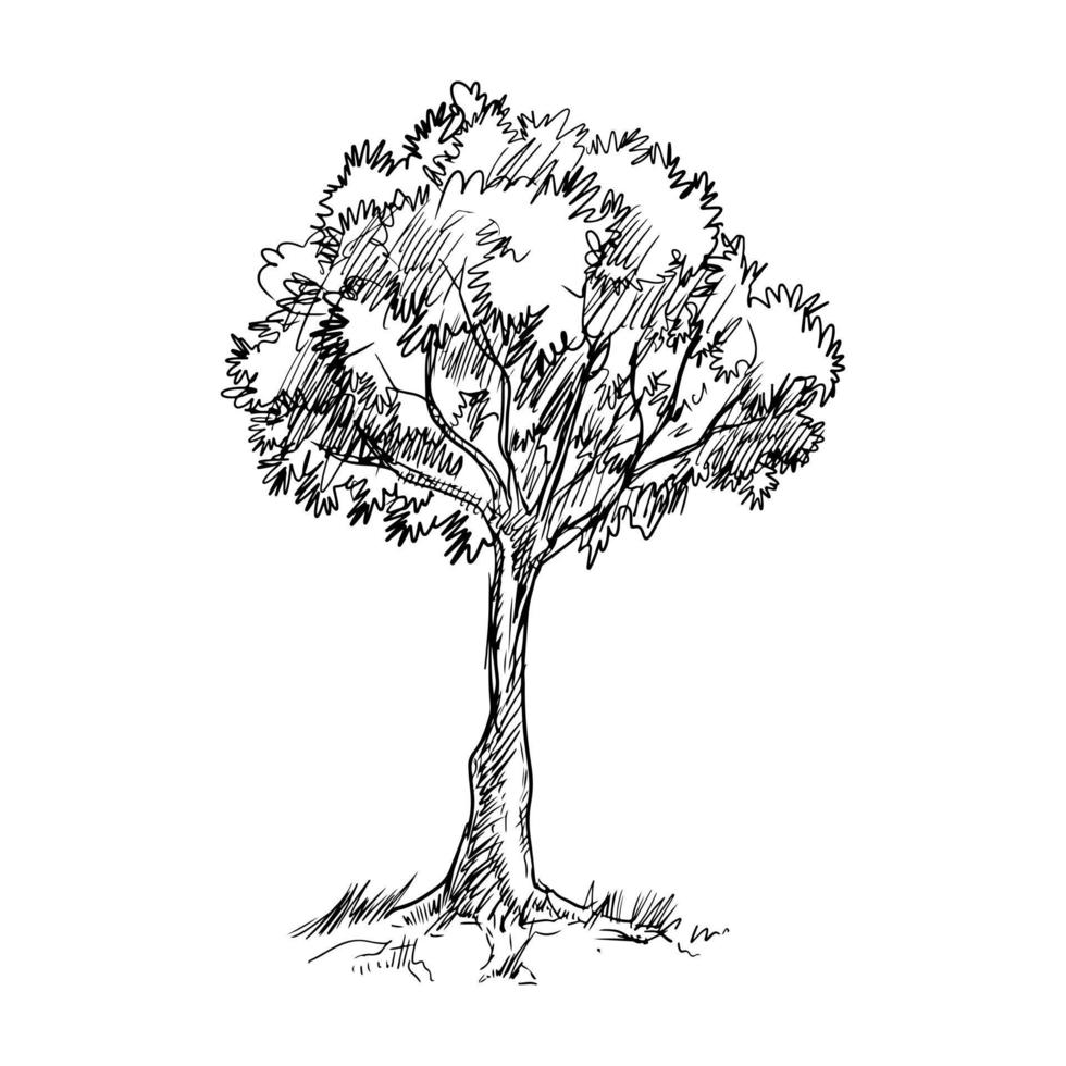Hand drawn tree isolated on white background. vector illustration.