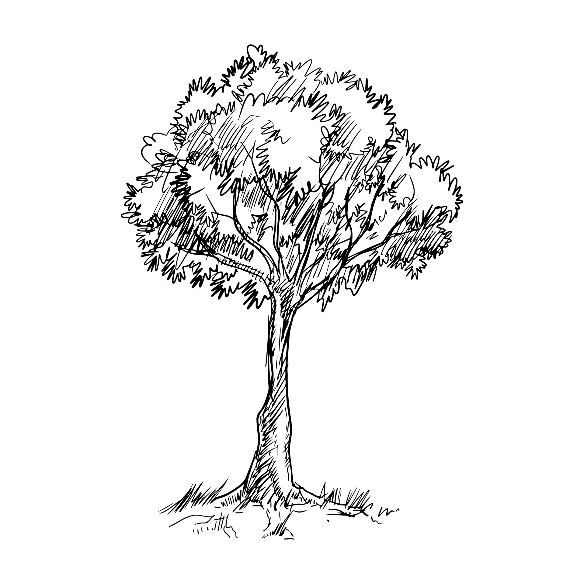 Hand drawn tree isolated on white background. vector illustration