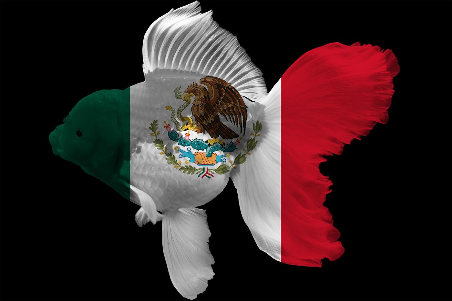 Flag of Mexico on goldfish photo