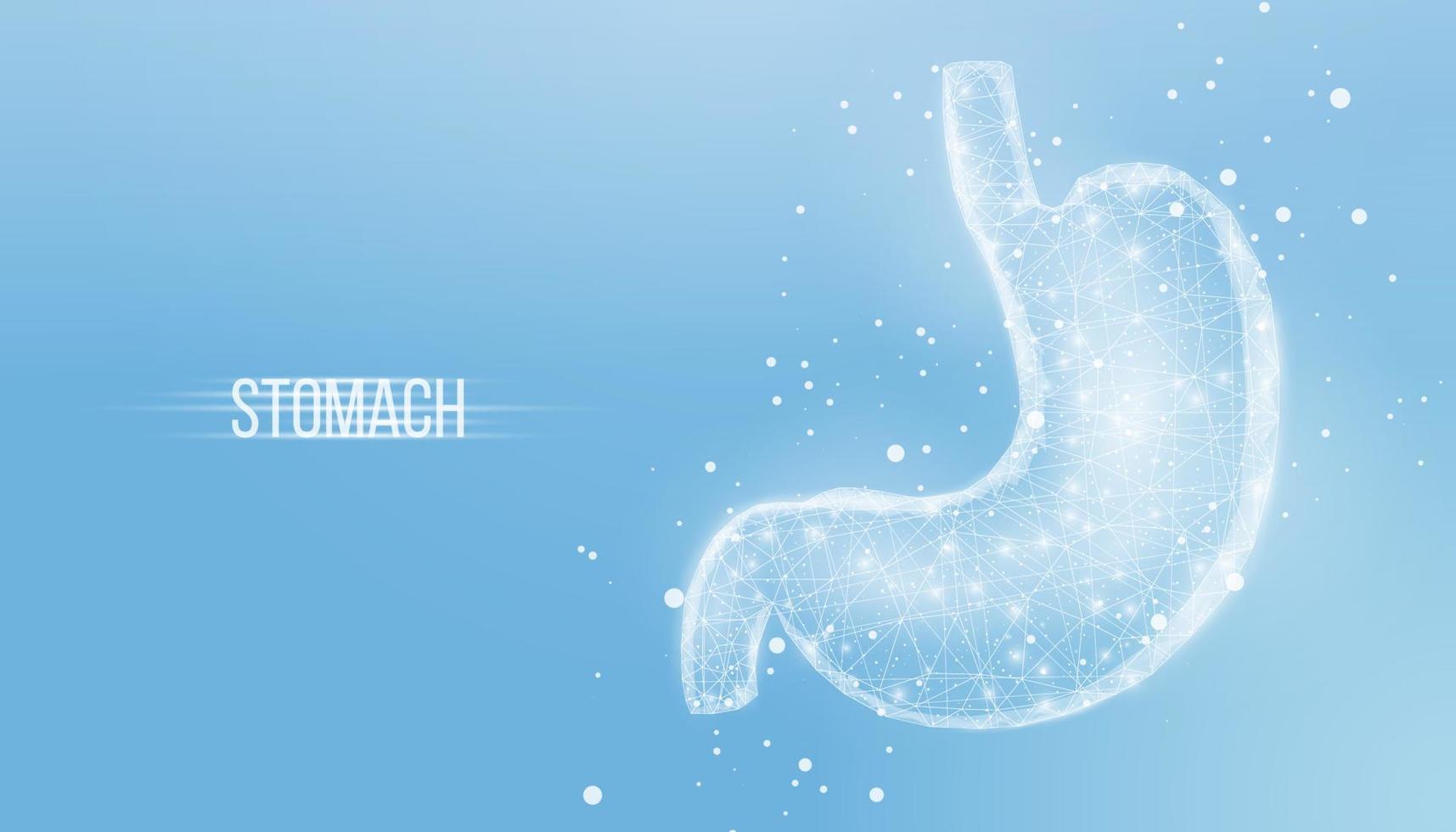 Human stomach. Wireframe low poly style. Concept for medical, treatment of the digestive system. Abstract modern 3d vector illustration on blue background.