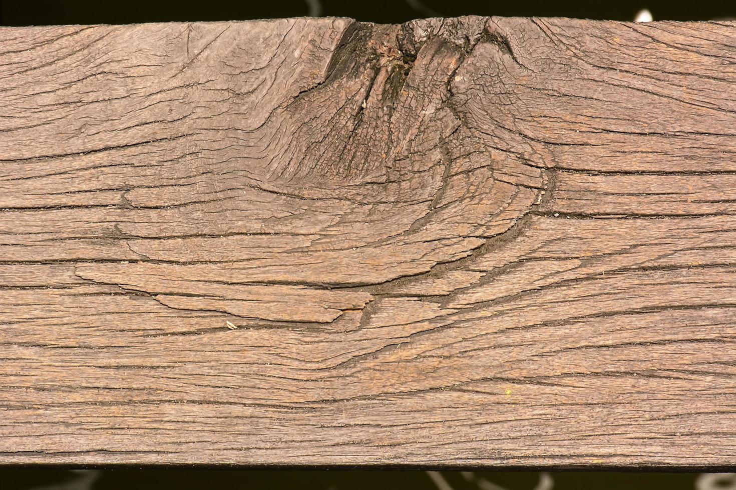 The wood texture is the art work. photo