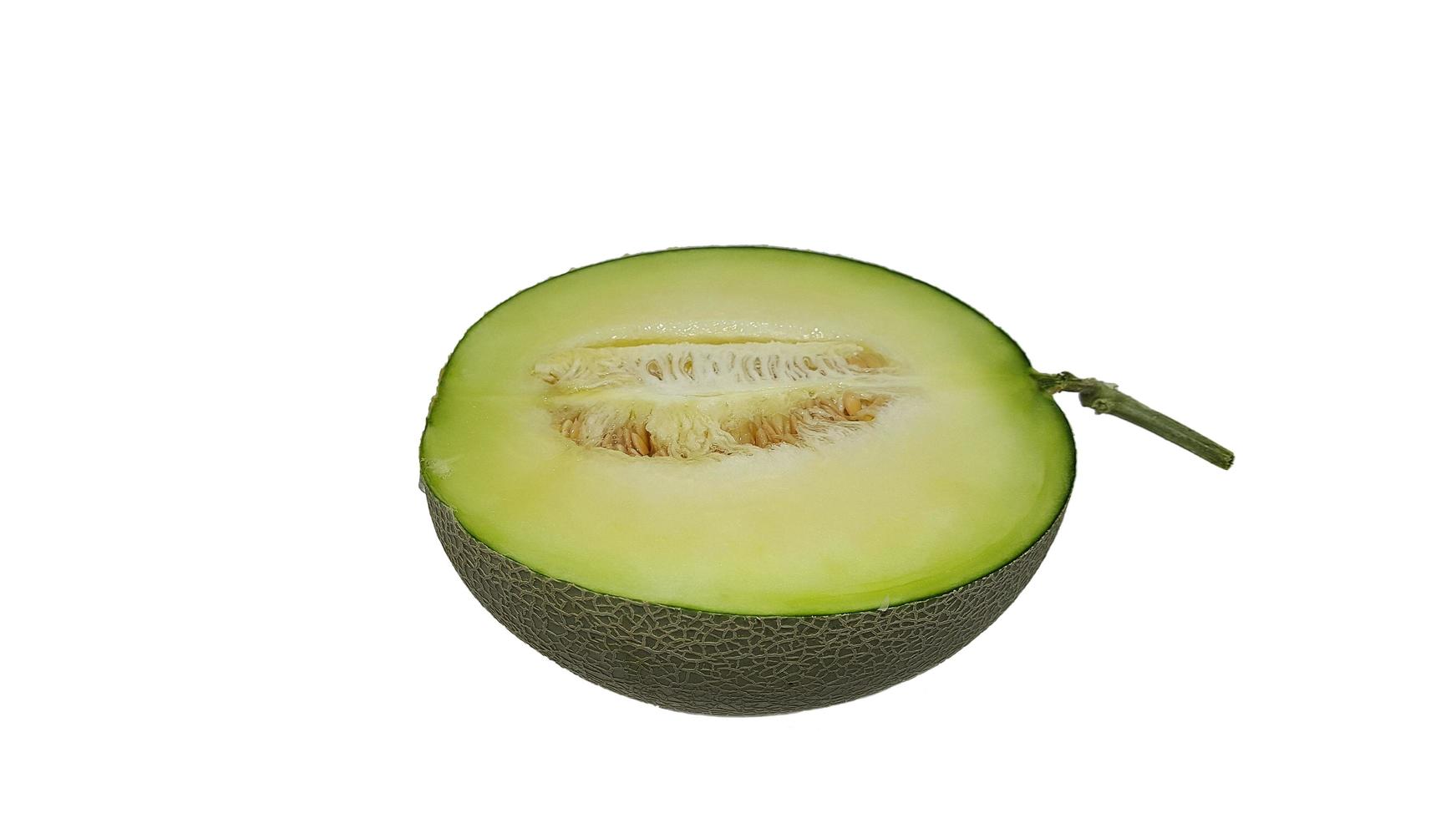 The green melon isolated on a white background. photo