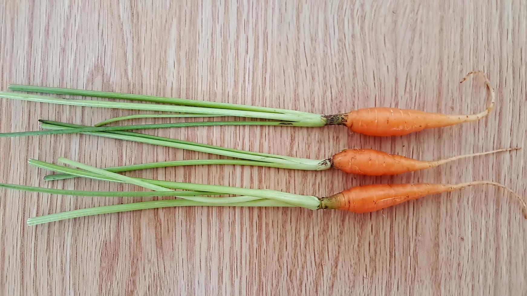 The baby carrot on the chopping block. photo