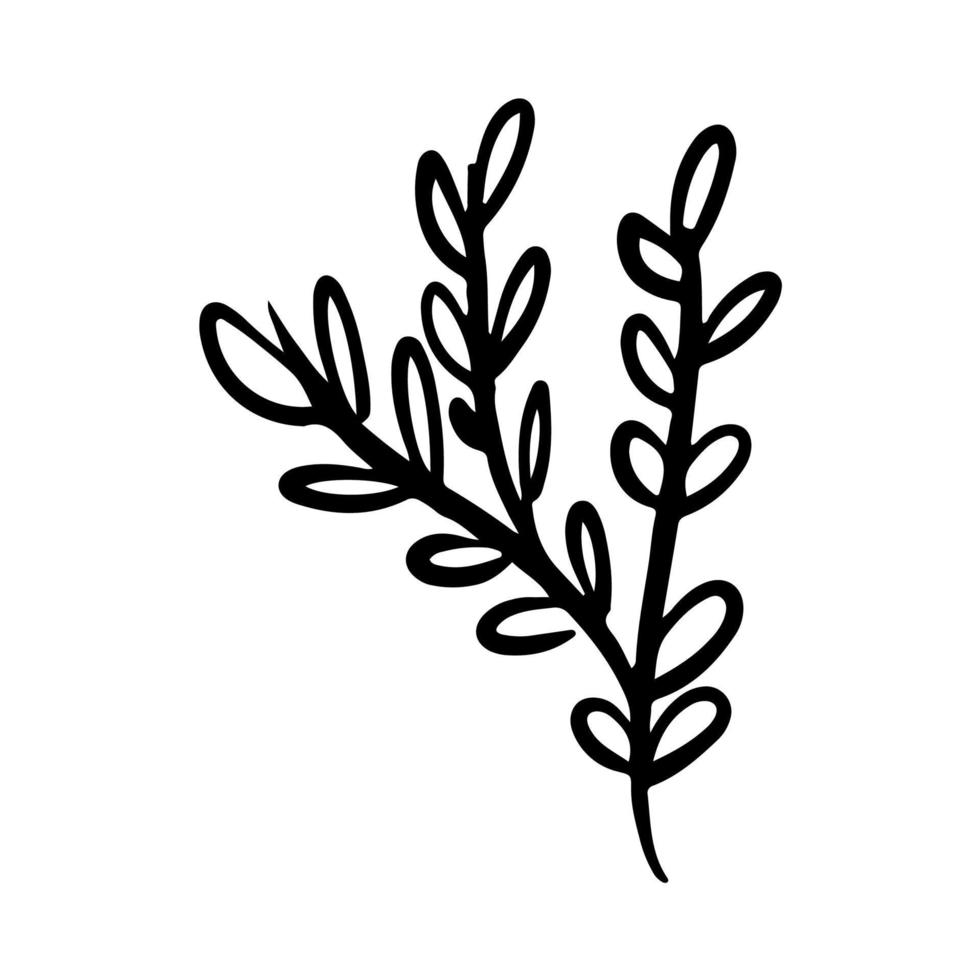 simple doodle triple branch plant hand drawn vector outline icon illustration