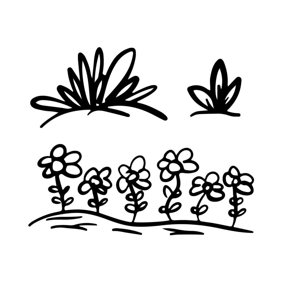 doodle hand drawn botanical flower and grass vector outline icon illustration template collection