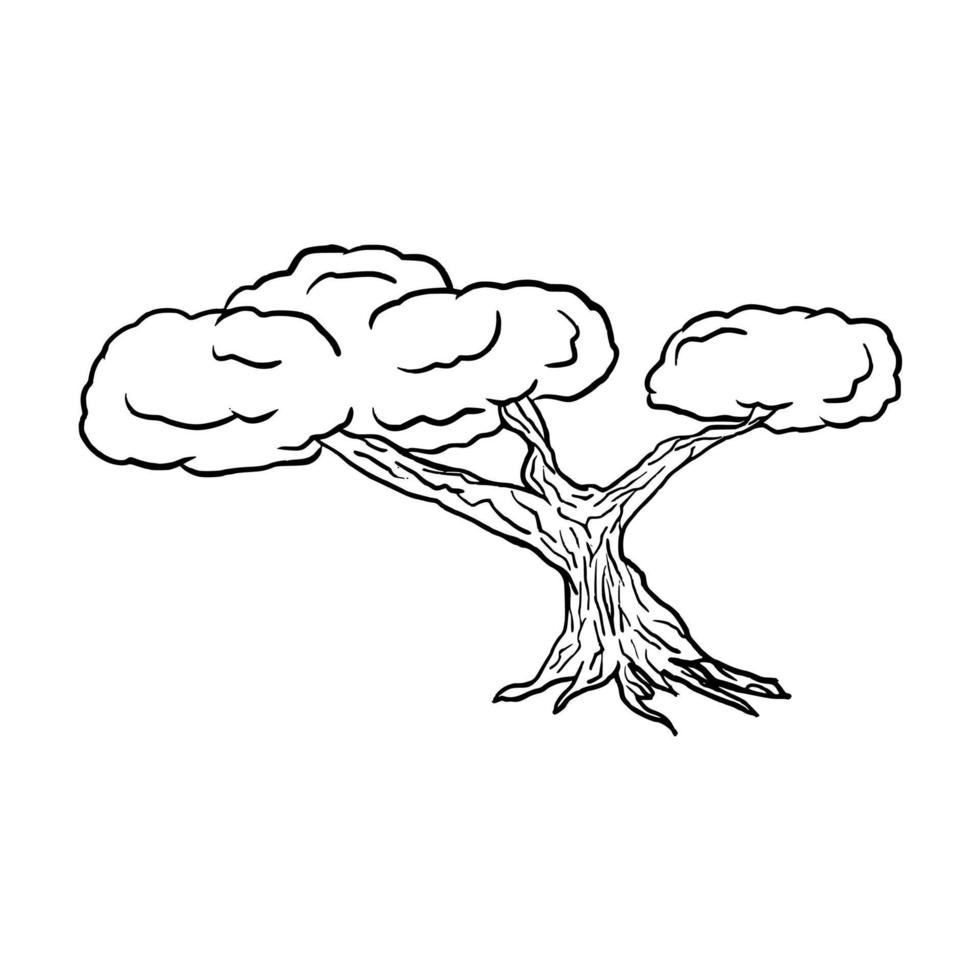 simple bonsai árbol doodle dibujado a mano contorno vector icono ilustración para niños libro para colorear