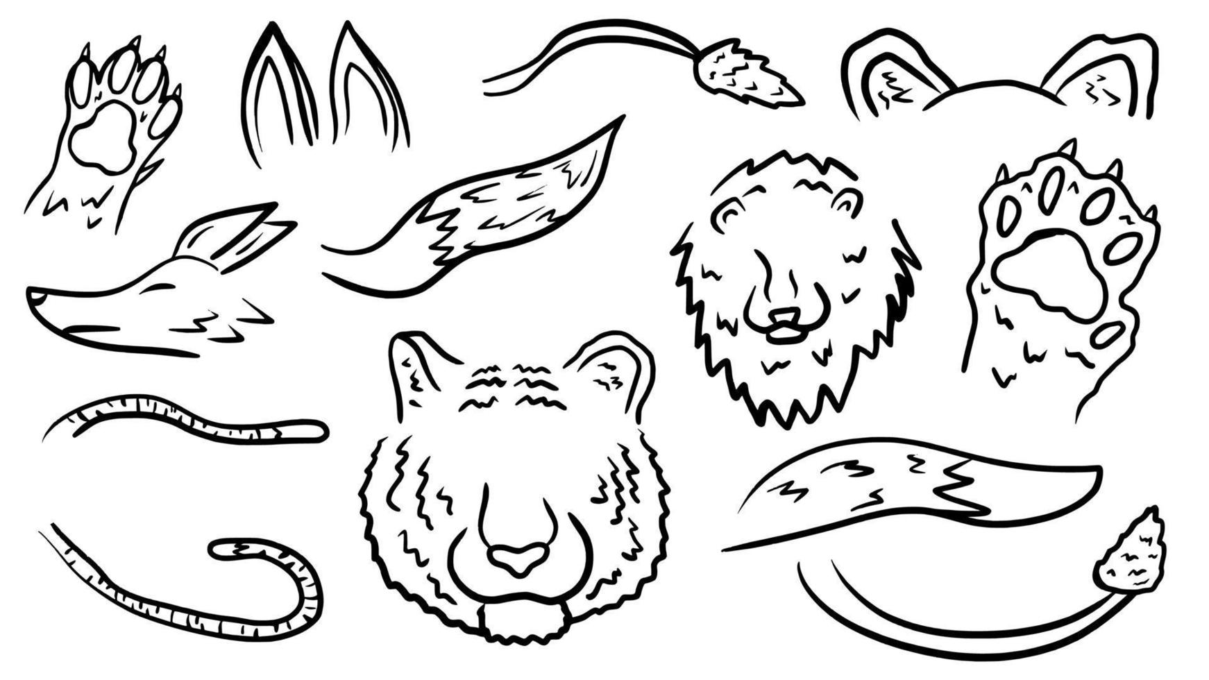 animal body part hand drawn doodle outline vector template illustration collection for education infographic and coloring book