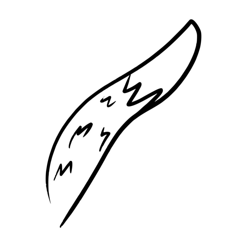 tail of fox and wolf hand drawn outline vector icon illustration for children coloring book and animal infographic