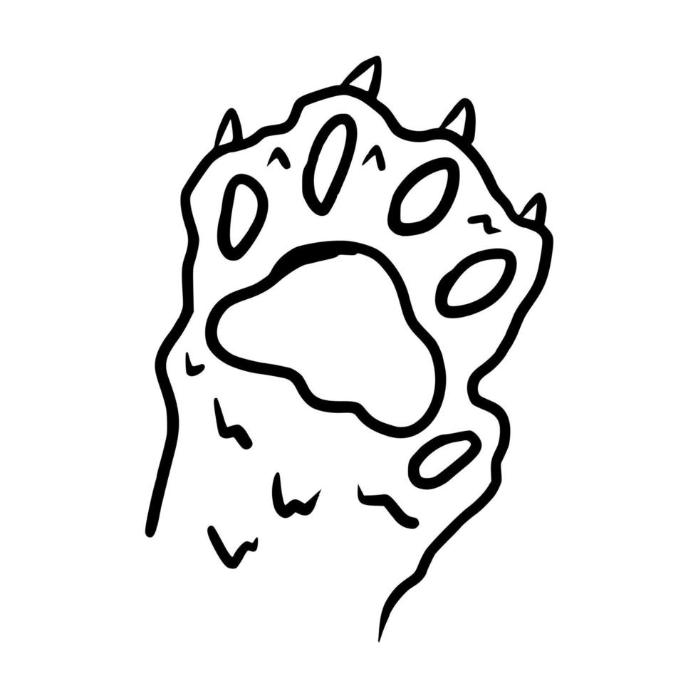 paw of lion hand drawn vector icon illustration for children coloring book and animal infographic