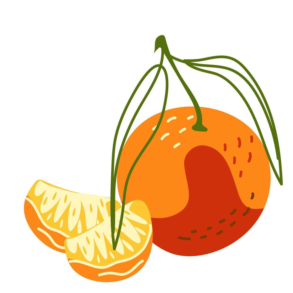 Juicy tangerine with leaves and slices vector
