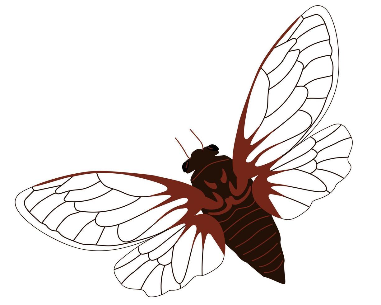 un insecto cigarra con las alas abiertas vector