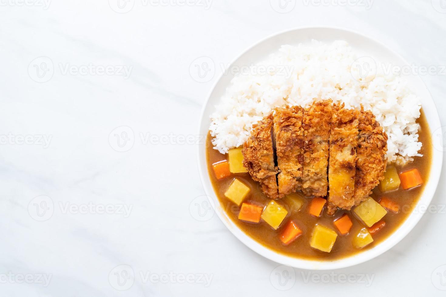 Crispy fried pork cutlet with curry and rice photo
