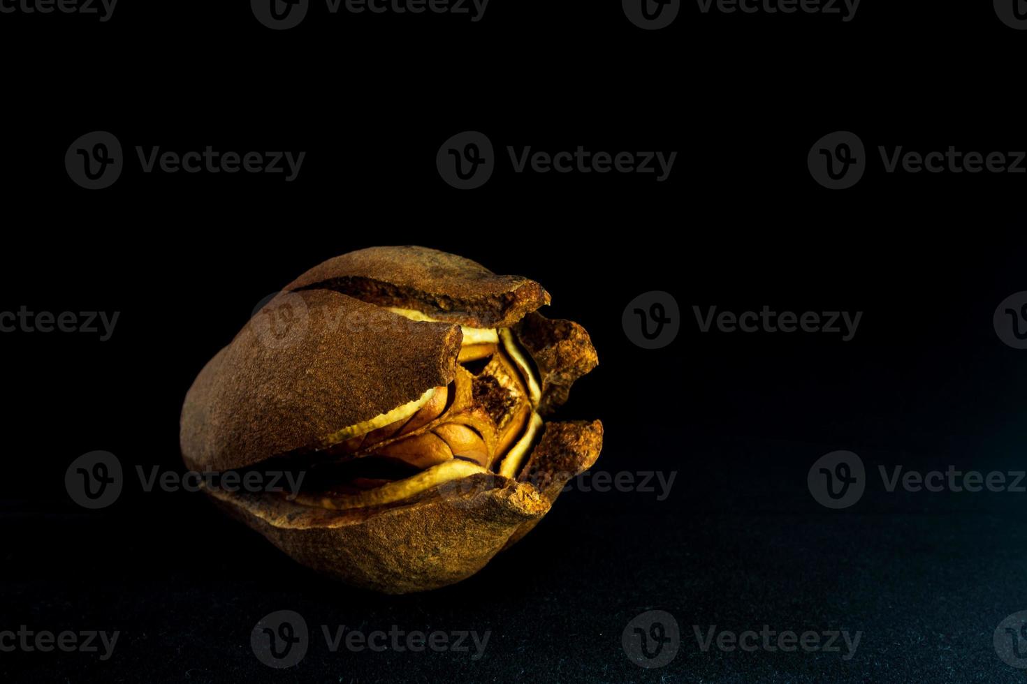 Pods and seeds of Mahogany on black background photo
