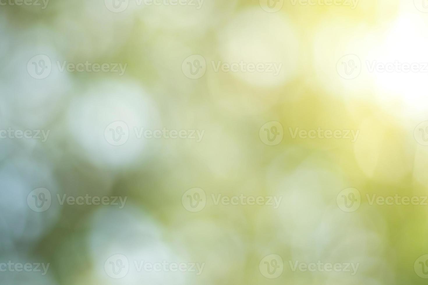 Natural outdoors bokeh background in green and yellow tones, Blurred green tree leaf background with bokeh photo