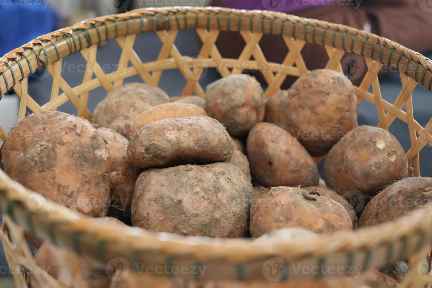 Polynesian arrowroot bulbs in bamboo basket, ingredient thai dessert, Thailand. photo