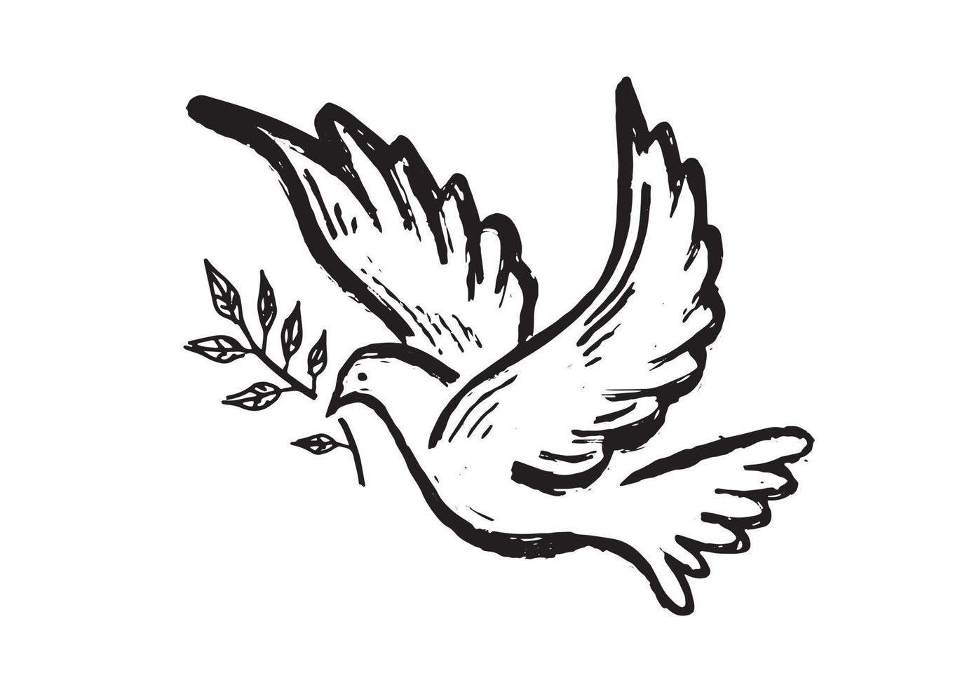 Dove of peace hand drawn illustration. vector