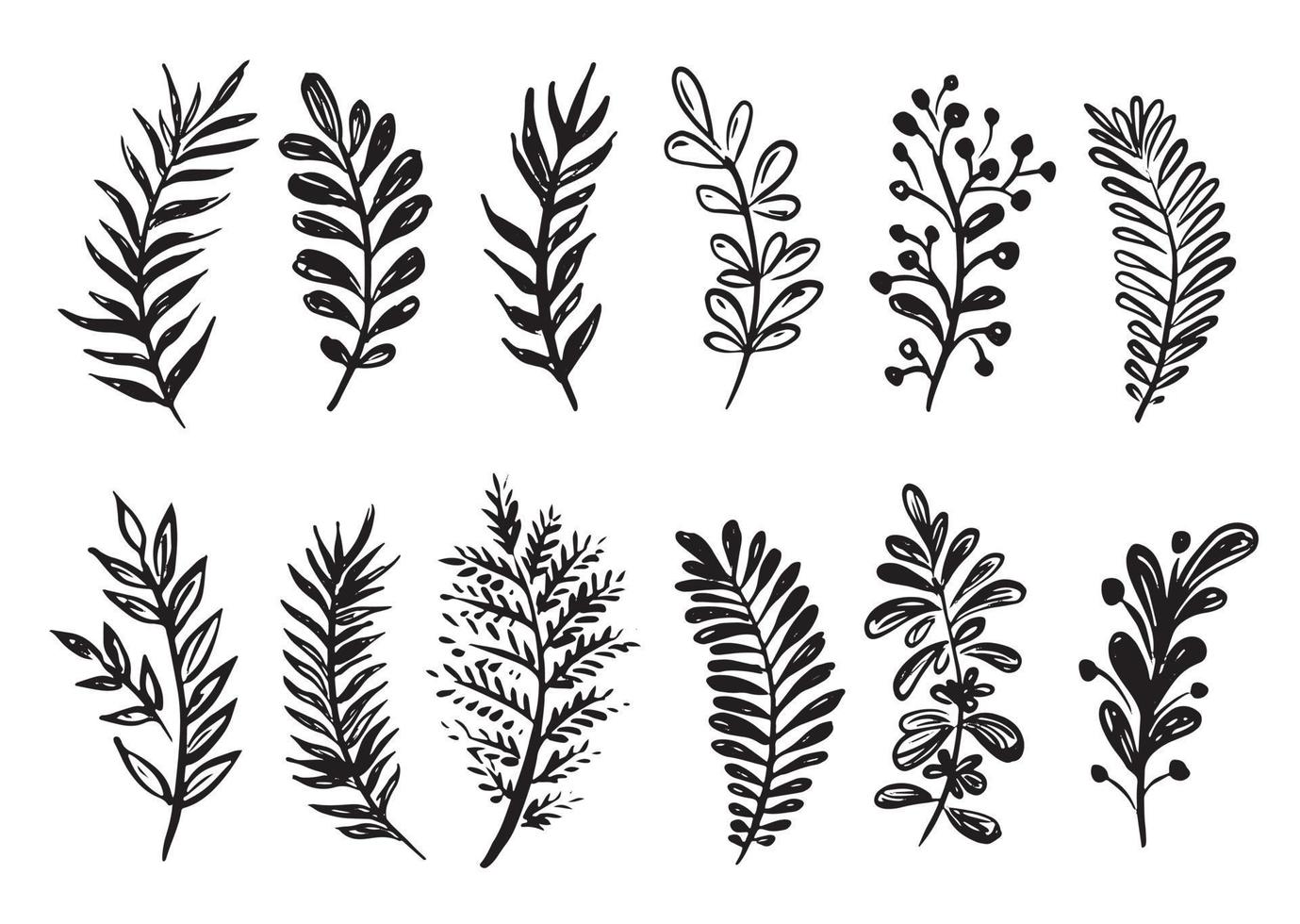 Branches collection hand drawn, vector. vector