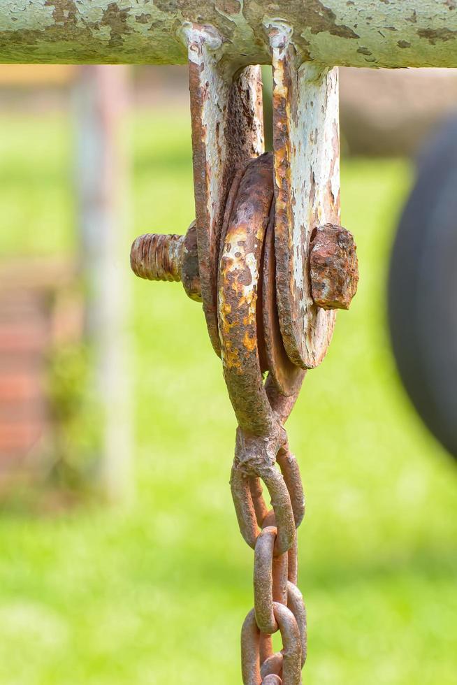 The old chain swing photo