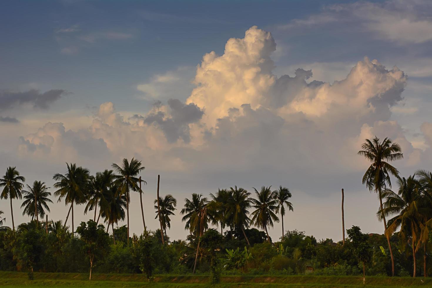 The sky's overcast and shadow photo