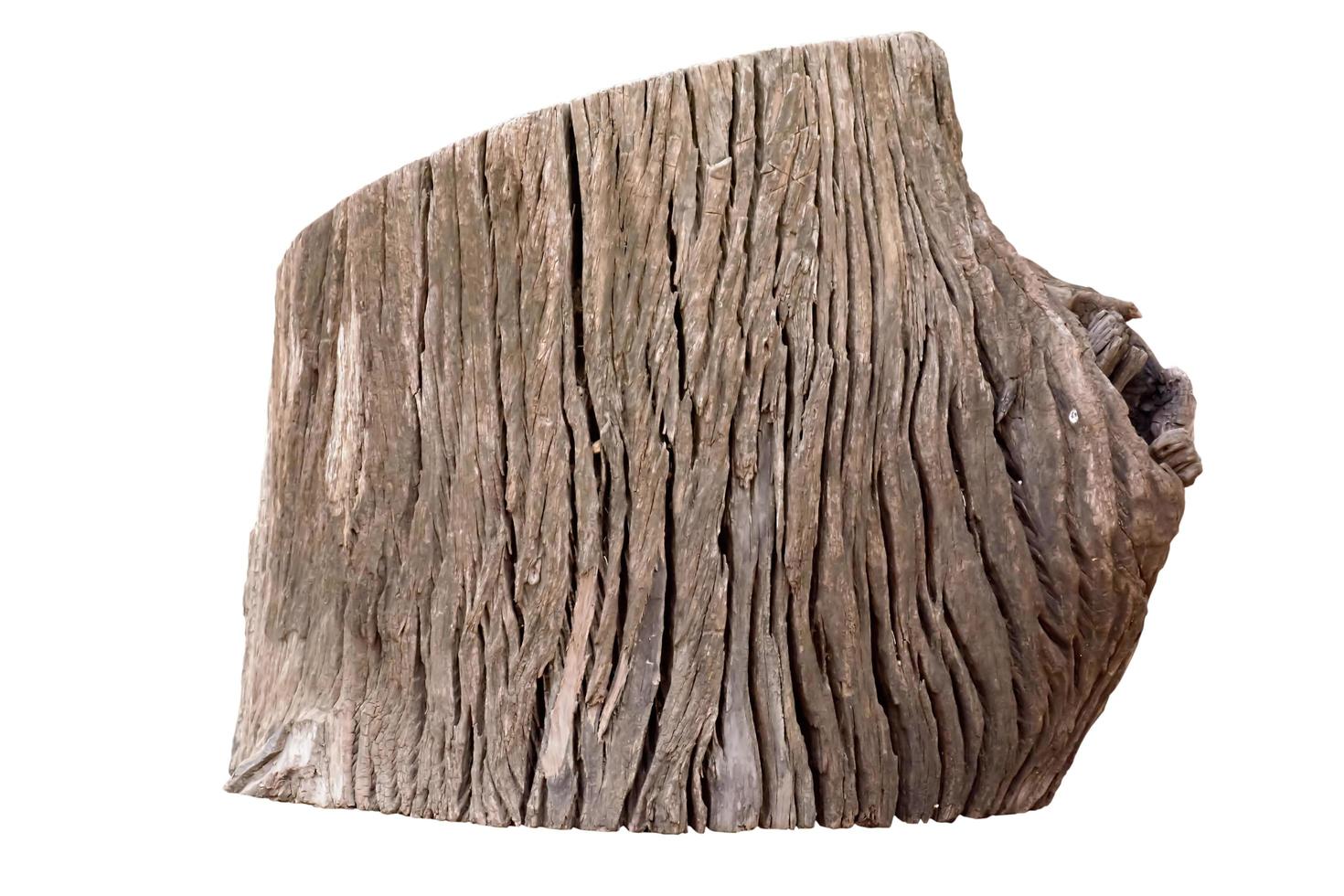 Stump isolated on a white background. Clipping inside. photo