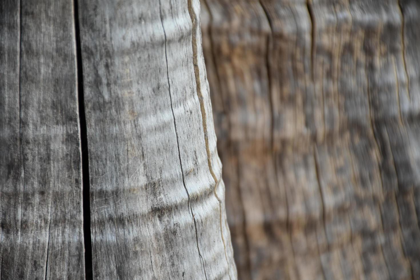 The front surface of the wood hemisphere has been exposed to the sun and weathered to cause mold on the wood. photo