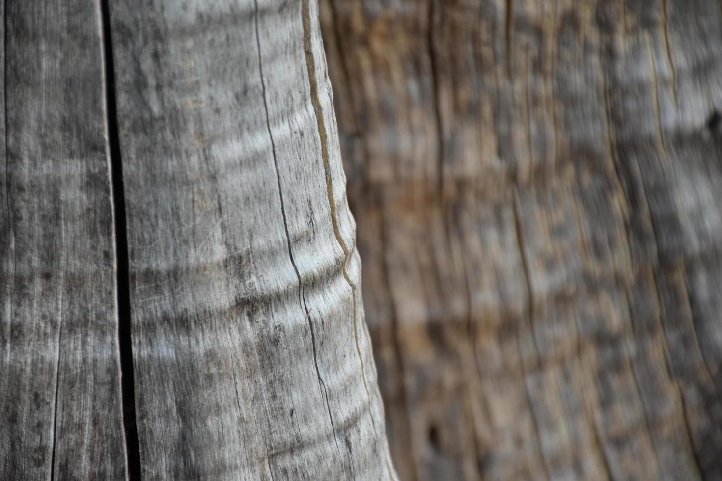 The front surface of the wood hemisphere has been exposed to the sun and weathered to cause mold on the wood. photo