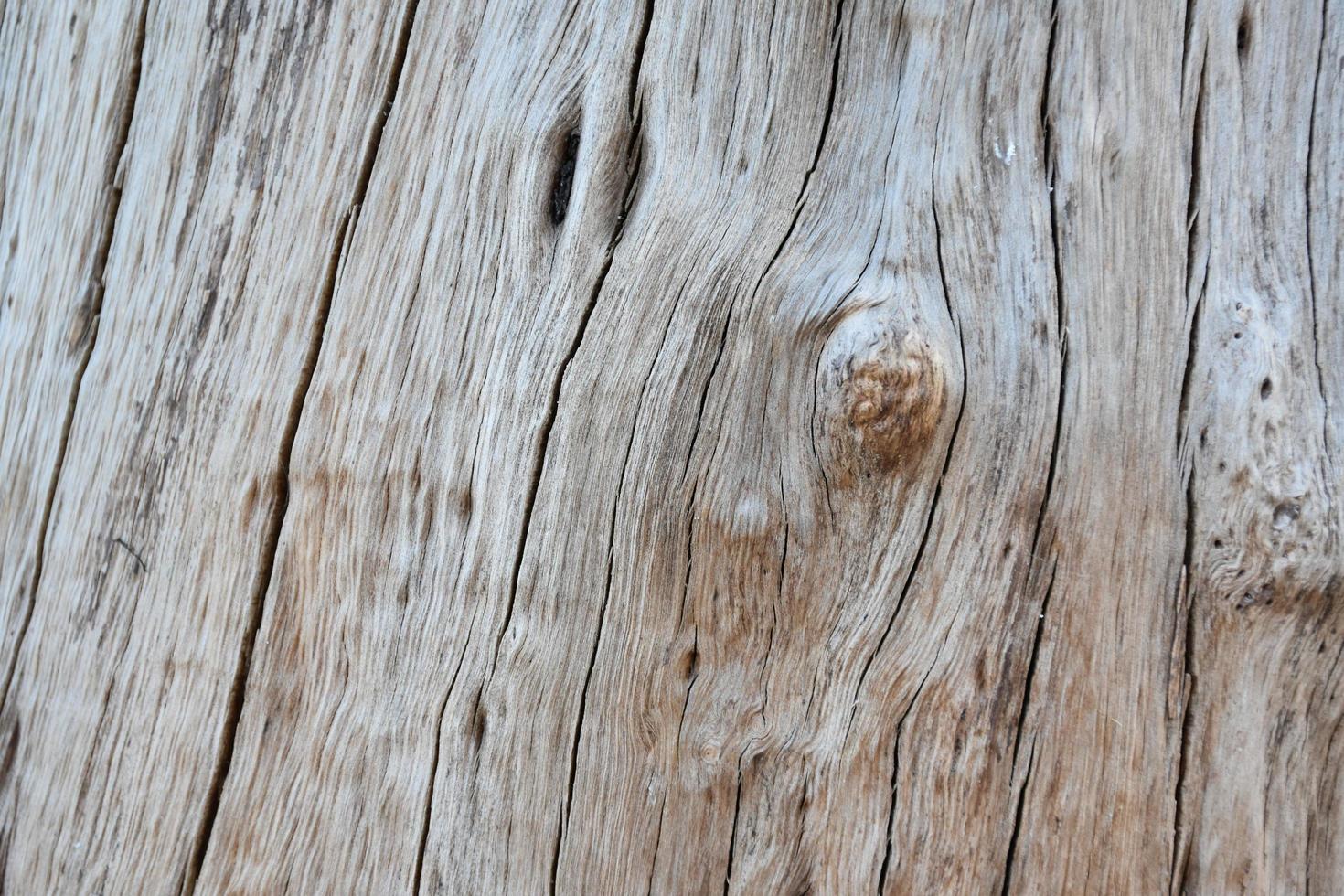 The front surface of the wood hemisphere has been exposed to the sun and weathered to cause mold on the wood. photo