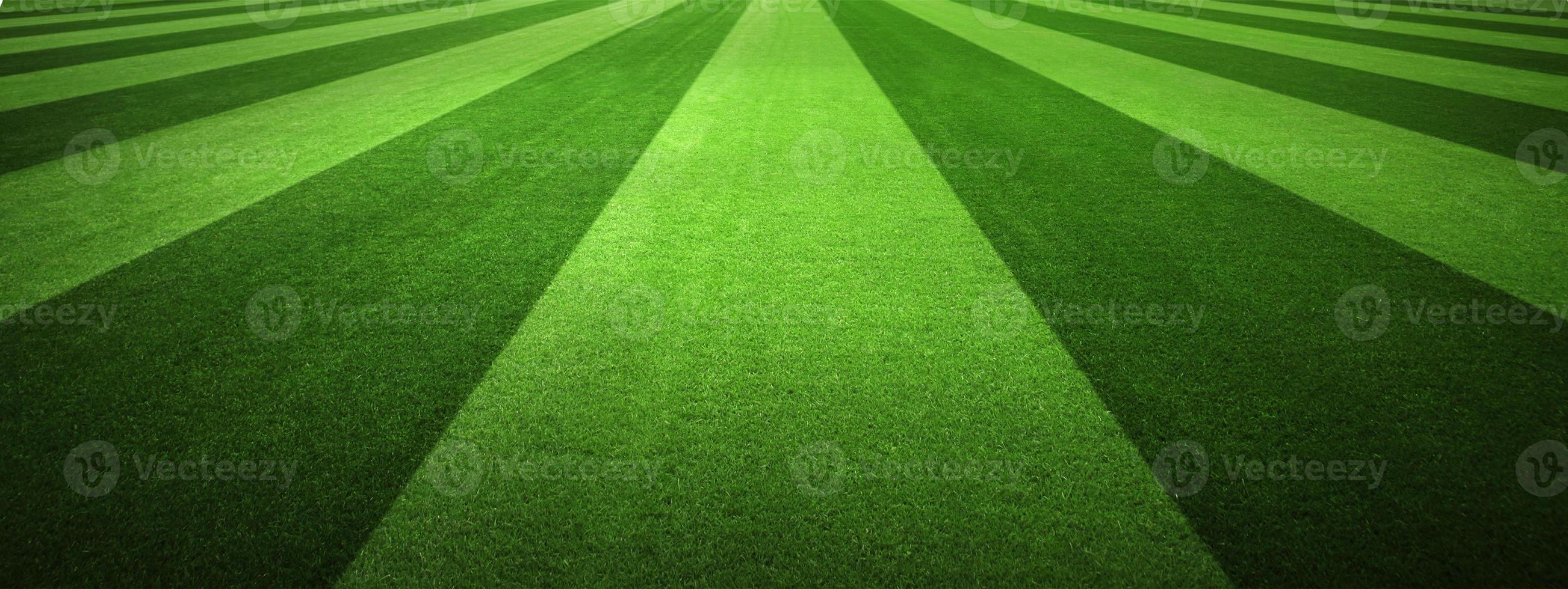 Soccer field with green grass. Sport lawn background photo