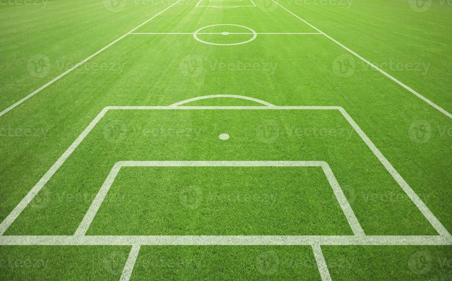 Soccer field with green grass. Sport lawn background photo