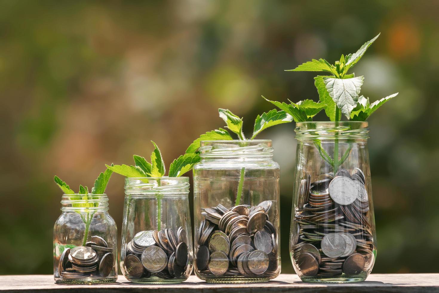 coins in four jug glass with plant grow step on wood. saving and growing money concept photo