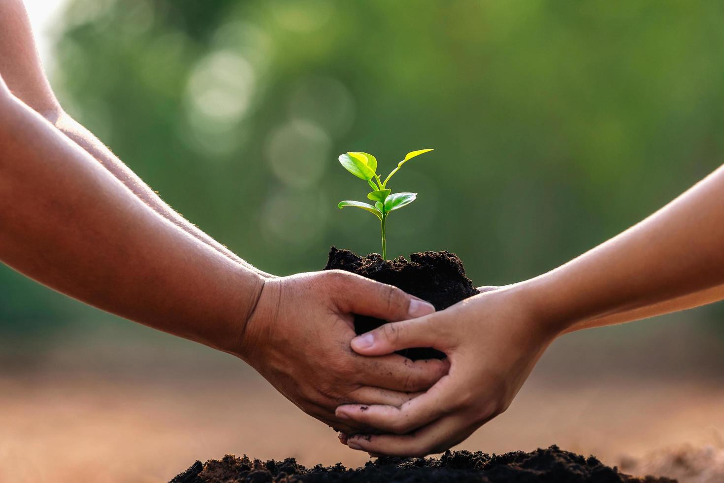 dos manos sosteniendo una pequeña planta para plantar en el jardín. concepto día de la tierra foto