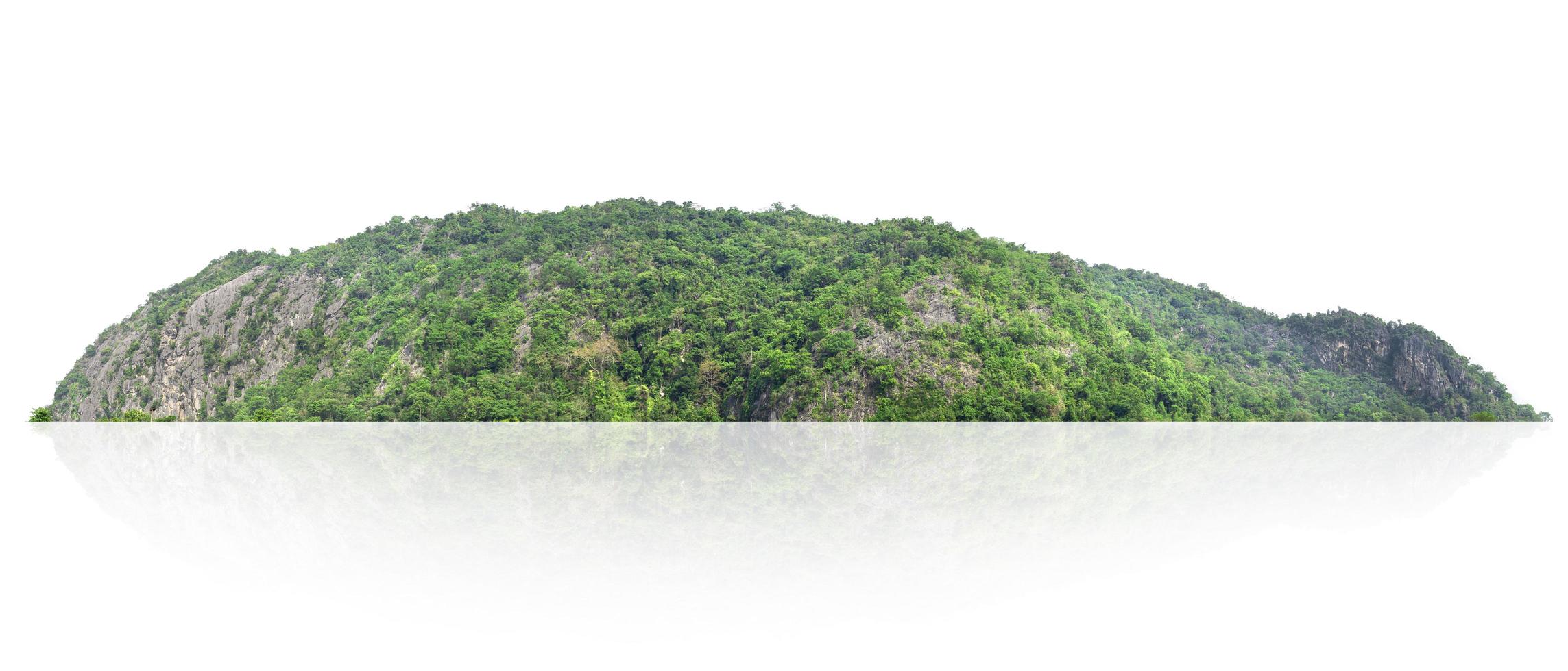 rock mountain hill with green forest isolate on white background photo