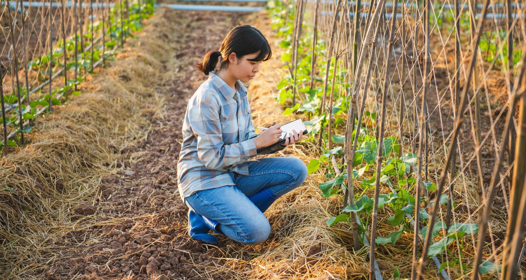 asian woman use tablet to check vegetable growing information in the garden photo