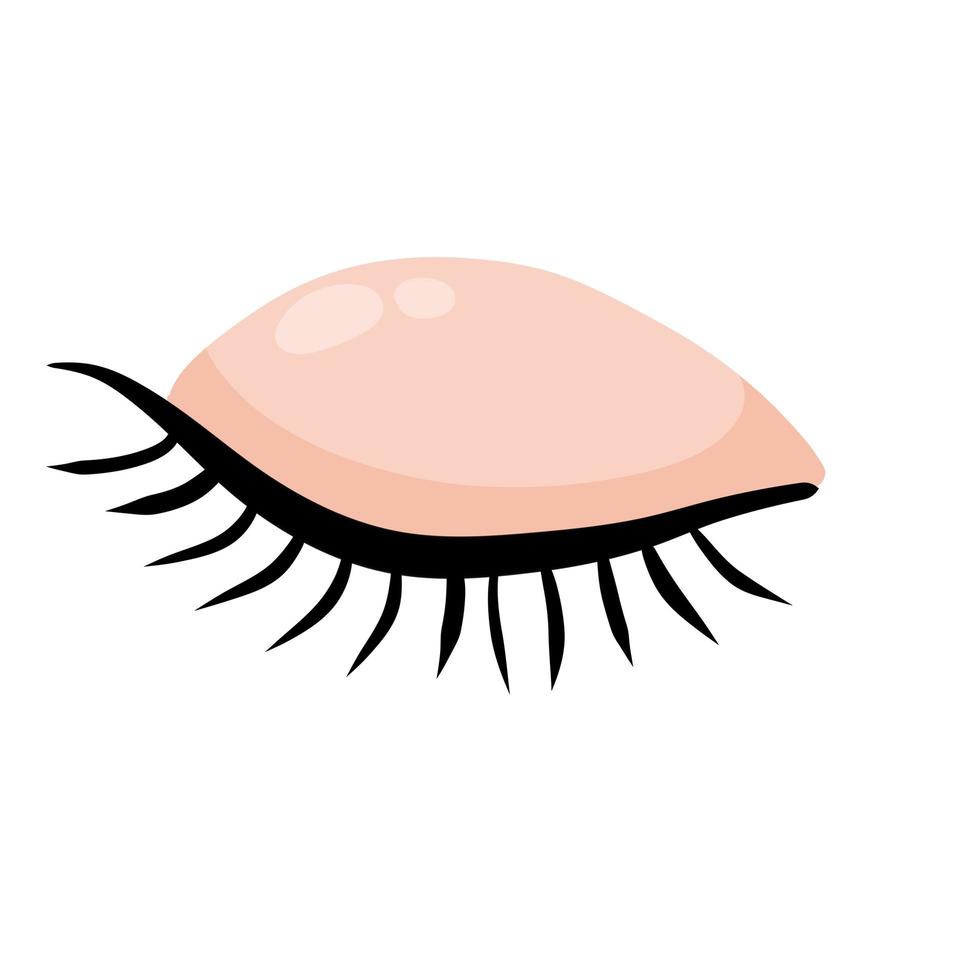 Closed eye. Detail of face. Eyelid with eyelashes. vector