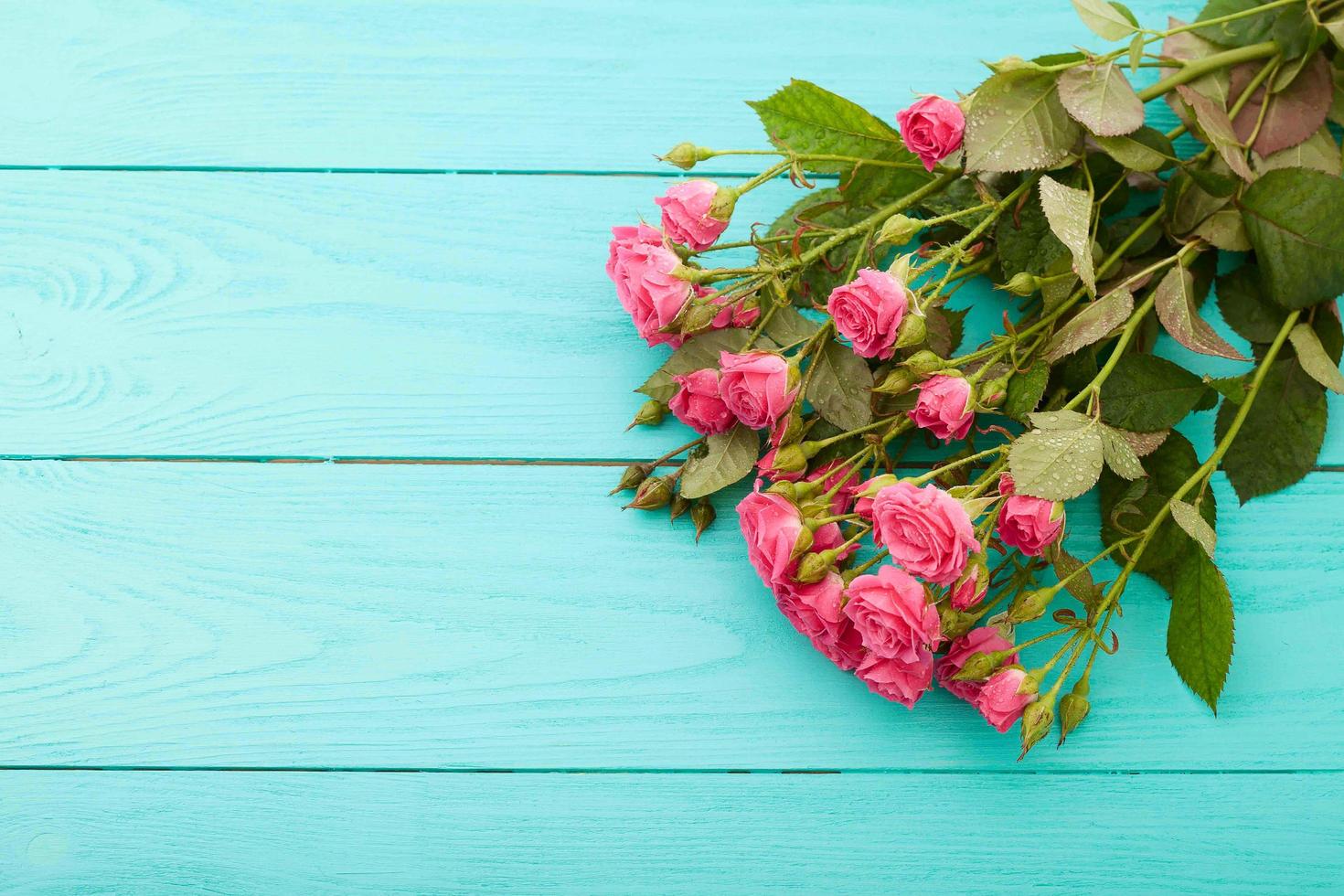 Frame of colorful roses on blue wooden background. Top view and selective focus. Copy space and mock up, Valentine and mother day photo