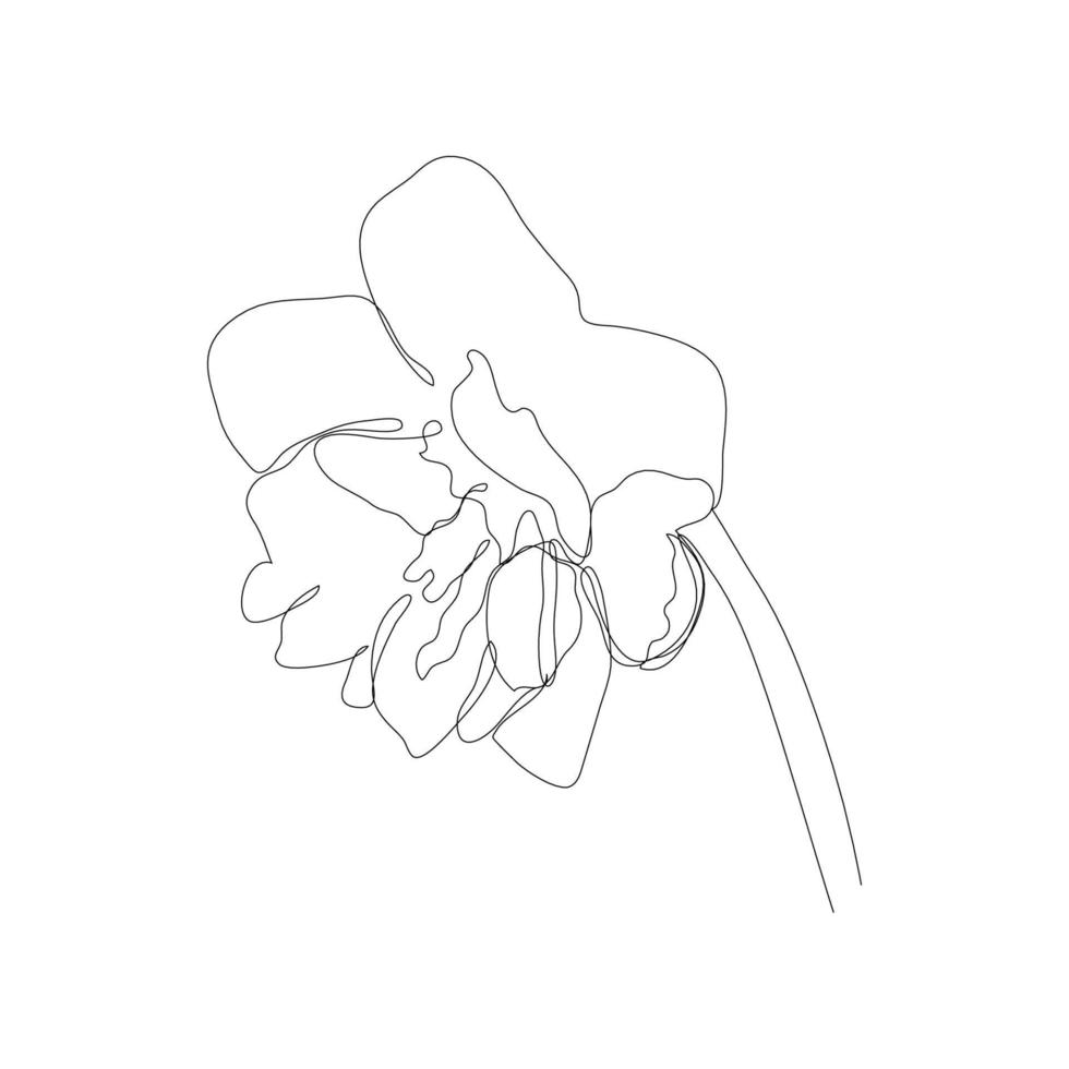 Continuous one simple single abstract line drawing of daffodil flower icon in silhouette on a white background. Linear stylized. Vector illustration.