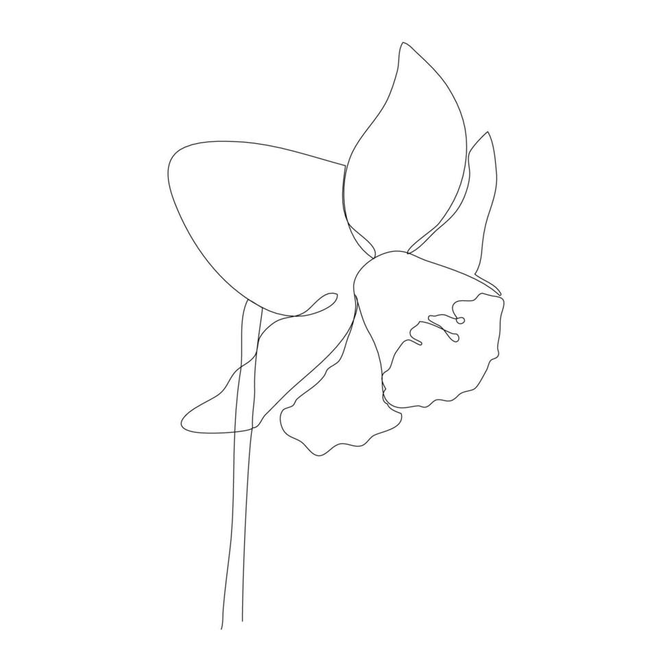 Continuous one simple single abstract line drawing of daffodil flower icon in silhouette on a white background. Linear stylized. Vector illustration.