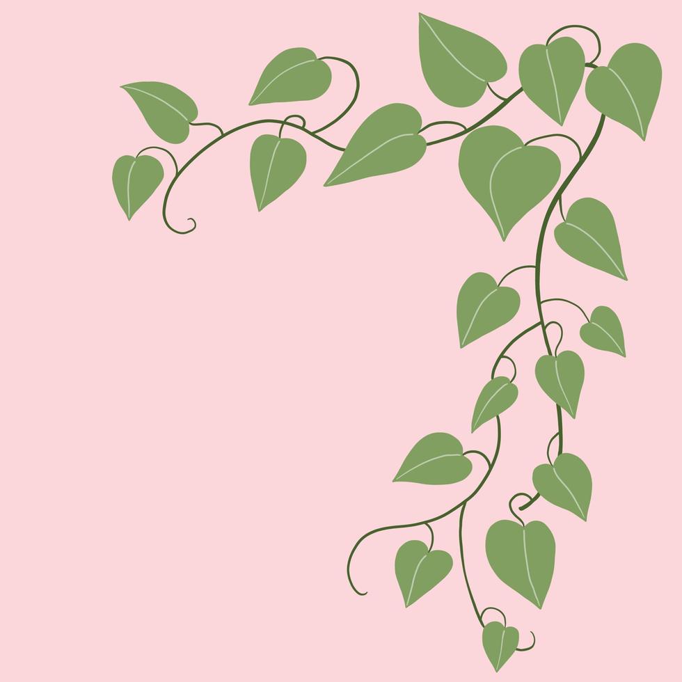 Simplicity ivy freehand drawing flat design. vector