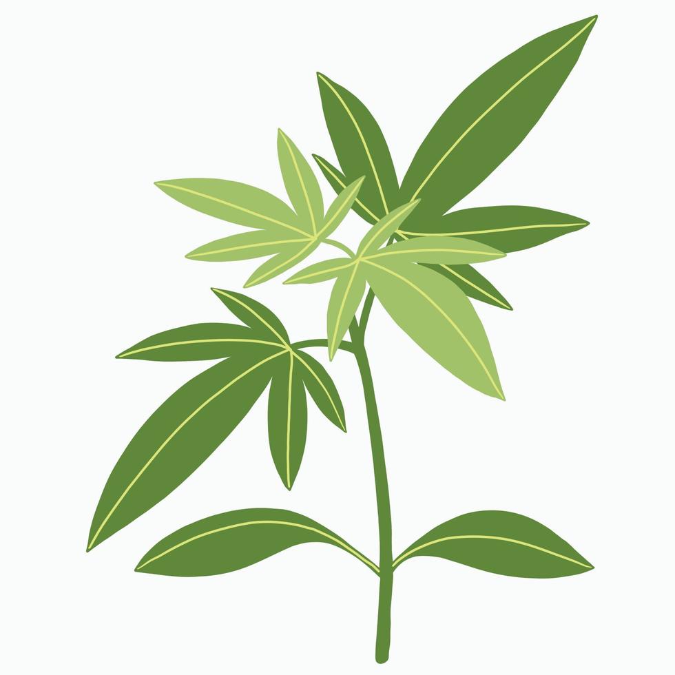 simplicidad planta de cannabis dibujo a mano alzada diseño plano. vector