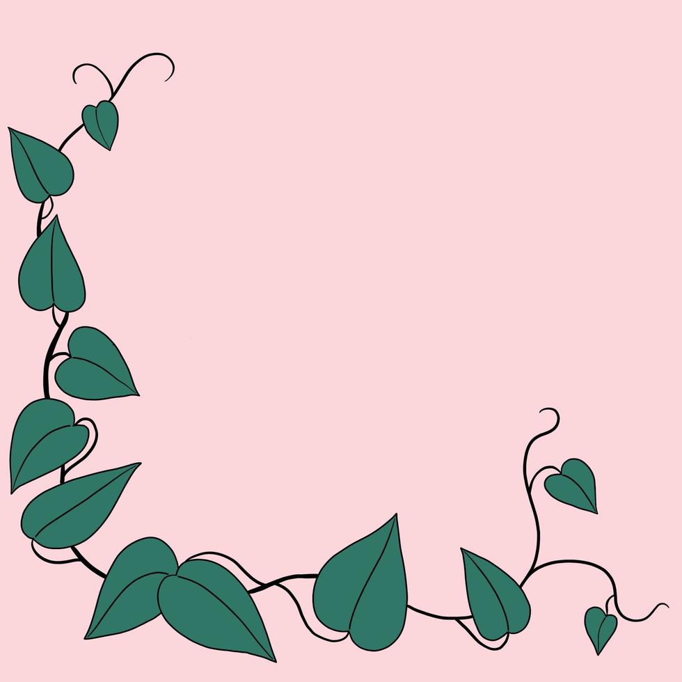 Simplicity ivy freehand drawing flat design. vector