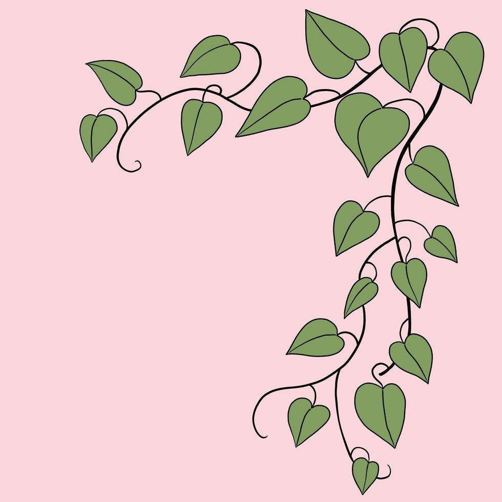 Simplicity ivy freehand drawing flat design. vector