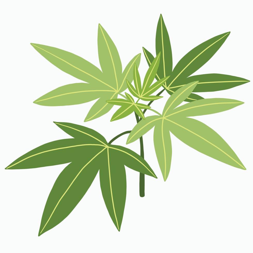 Simplicity cannabis plant freehand drawing flat design. vector