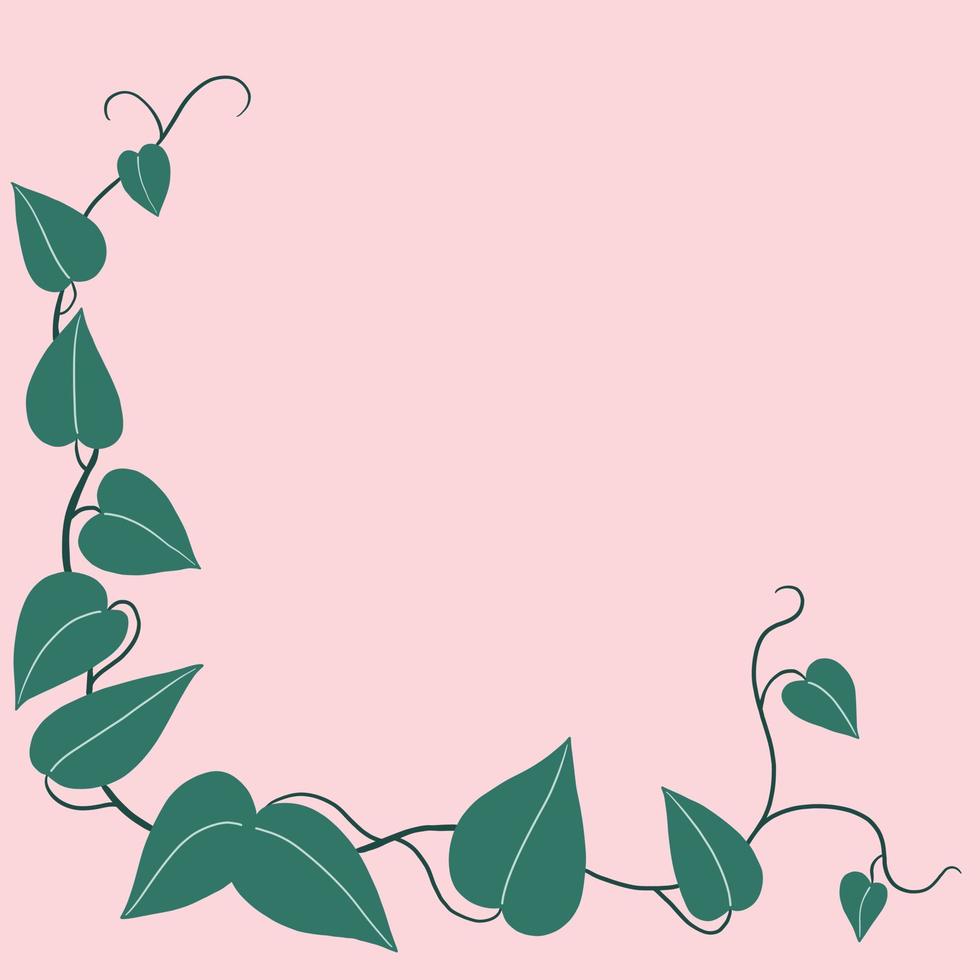 Simplicity ivy freehand drawing flat design. vector
